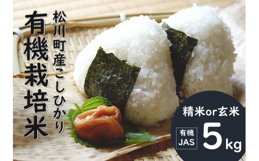 24B [有機JAS認定]久保田さんちの有機米(こしひかり)5kg/※12月発送※ 玄米 精米 選べます 有機栽培コシヒカリ