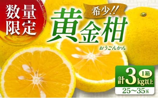 新感覚シトラス! 先行予約 数量限定 黄金柑 おうごんかん 計3kg以上 期間限定 希少 フルーツ 果物 くだもの ミカン 柑橘 オレンジ 国産 食品 デザート おやつ おすすめ 産地直送 お取り寄せ 新鮮 ギフト 贈り物 特産品 宮崎県 日南市 送料無料_B227-23