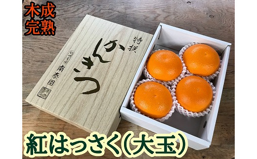 木成完熟 紅はっさく 特秀 大玉 2L × 4玉入 化粧小箱 南泰園【2024年4