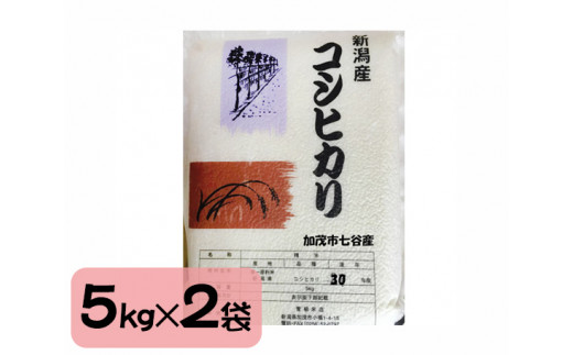 定期便5ヶ月毎月お届け】新潟産コシヒカリ 加茂市七谷産 棚田米 精米