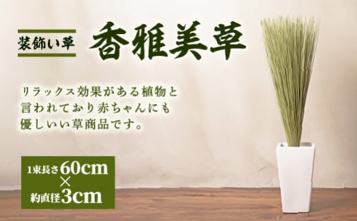 装飾い草「香雅美草」 60cm×3cm 120g 5本