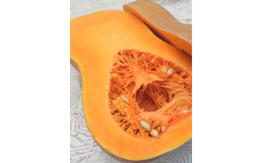 バターナッツかぼちゃ 20kg [期間限定] ｜南瓜 カボチャ 産地直送 農家