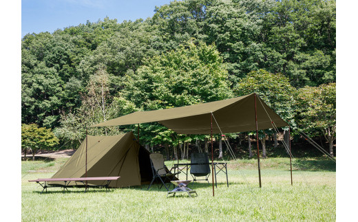 ツーピークキャビンタープ | tent-Mark DESIGNS テンマクデザイン WILD-1 ワイルドワン タープ キャンプ  アウトドアギア※着日指定不可