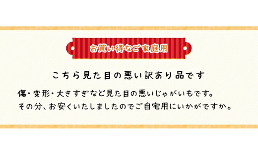 <早期予約>北海道ニセコ町 訳ありじゃがいも男爵10kg【2024年産】【3201001】
