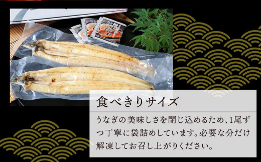 極上国産うなぎ四万十桜 白焼き2尾セット 食べきりサイズです - 高知県