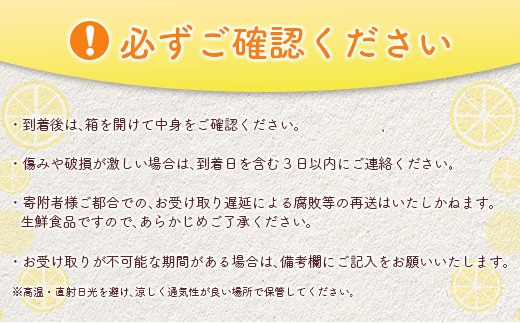 ≪数量限定≫希少な国産『ライム』計3kg以上 フルーツ 果物 柑橘 国産