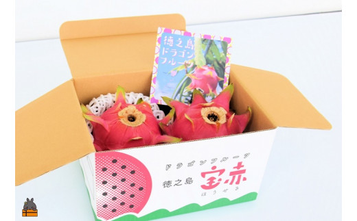 この梱包でお届けします。