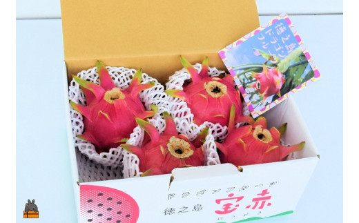 この梱包でお届けします。