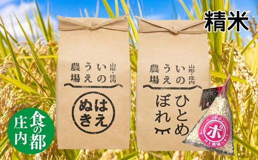 食の都庄内 [令和6年産・精米]はえぬき&ひとめぼれ(各5kg)+つやポン[井上農場]