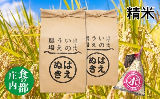 食の都庄内 [令和6年産・精米]井上農場の特別栽培米はえぬき5kg×2袋+つやポン[井上農場]