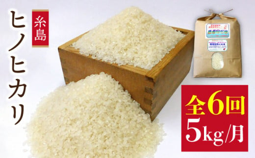 [7分づき米][全6回定期便] ヒノヒカリ 5kg 福吉産 お米 栽培期間農薬不使用 [糸島][二丈赤米産直センター][ABB012-2] ひのひかり 米