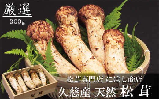[季節限定]久慈産天然松茸「厳選」300g