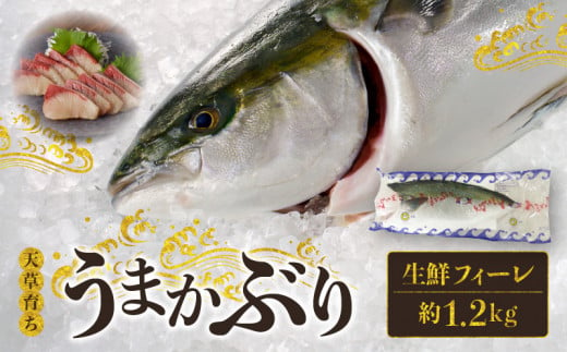 S137-009_【天草育ち】活じめ！うまかぶり生鮮フィーレ 約1.2kg（真空パックでお届け） 1015268 - 熊本県天草市