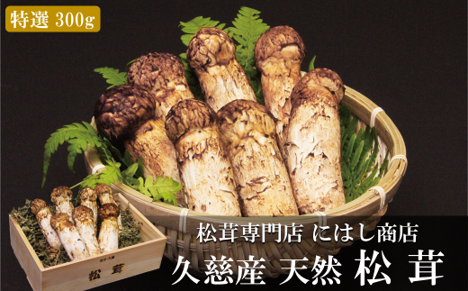 【季節限定】久慈産天然松茸「特選」300ｇ