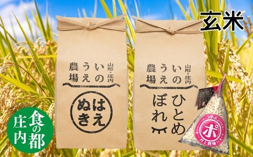 食の都庄内 [令和6年産・玄米]はえぬき&ひとめぼれ(各5kg)+つやポン[井上農場]