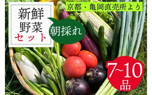 訳あり 新鮮 季節の野菜 セット 7～10品目 農家直送 朝採れ 亀岡 佐伯