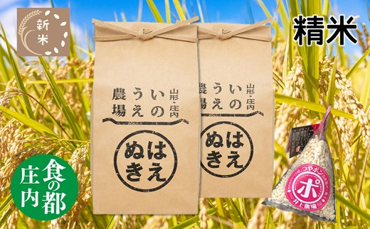 食の都庄内 井上農場の特別栽培米はえぬき5kg×2袋+つやポン（令和4年産