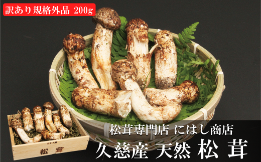 数量限定・天然物岩手産・松茸・200ｇ食品/飲料/酒 - 野菜