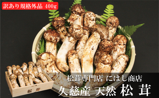 「訳あり：規格外品」【季節限定】久慈産天然松茸 400ｇ|