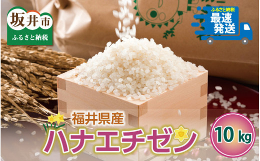 令和5年福井県産ハナエチゼンの中米【玄米】