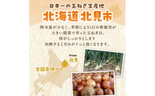 北海道北見市のふるさと納税 【2025年9月中お届け】日本一の生産地！北海道北見市の玉ねぎ 20kg！スープ2本付き♪ ( 玉ねぎ 玉葱 たまねぎ タマネギ オニオン スープ 即席 料理 )【164-0004-2025】