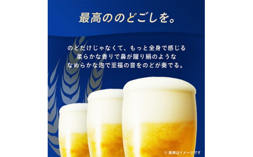 オリオンビール オリオン ザ・プレミアム(350ml×24本) ギフト