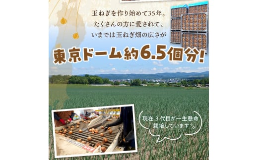 北海道北見市のふるさと納税 【2025年9月中お届け】日本一の生産地！北海道北見市の玉ねぎ 20kg！スープ2本付き♪ ( 玉ねぎ 玉葱 たまねぎ タマネギ オニオン スープ 即席 料理 )【164-0004-2025】
