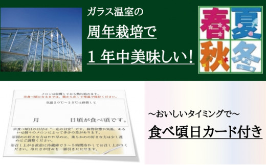 大人気！ クラウンメロン 白上級 1玉 箱入り メロン 高評価 厳選