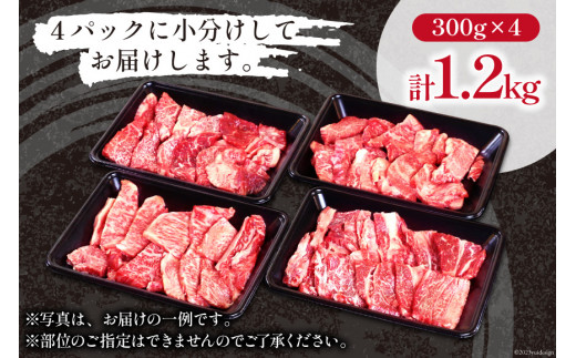調理例：宮崎和牛ステーキタタキ風サラダ