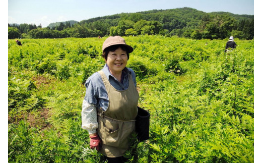 やまに農産代表の高橋医久子さん、自然豊かな西和賀で地域資源を活かした農業と商品づくりに取り組んでいます。