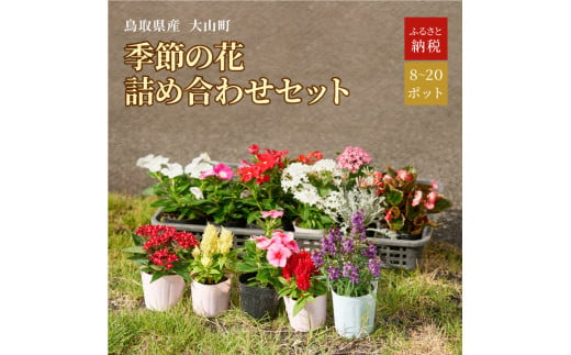 MS-80　季節の花の詰め合わせ 865936 - 鳥取県大山町