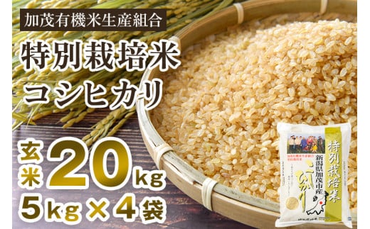 【令和5年産新米】新潟県加茂市産 特別栽培米コシヒカリ 玄米20kg（5kg×4）従来品種コシヒカリ 加茂有機米生産組合