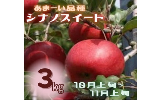 りんご シナノスイート 3kg 家庭用
