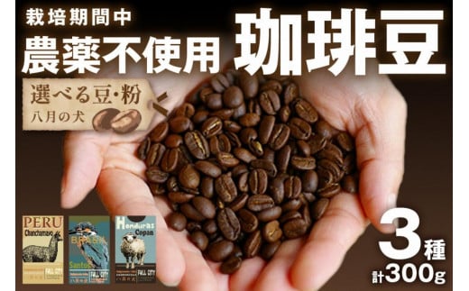 栽培期間中農薬不使用】自家焙煎コーヒー豆 お試しセット（100gx3種