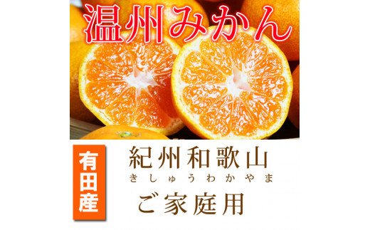 【ご家庭用訳アリ】紀州有田産温州みかん 7.5kg ※2023年11月下旬頃～2024年1月下旬頃に順次発送予定