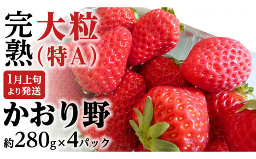 いちご かおり野」のふるさと納税 お礼の品一覧【ふるさとチョイス】