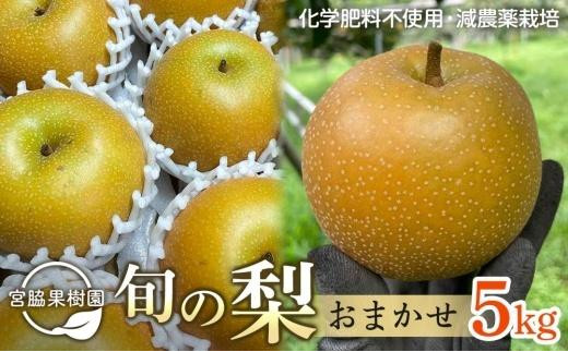 サンプル写真