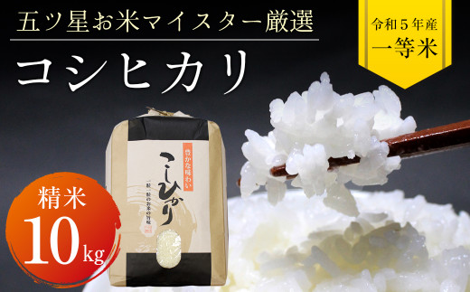 令和5年 千葉県産「コシヒカリ」10kg（精米） 1271943 - 千葉県富津市