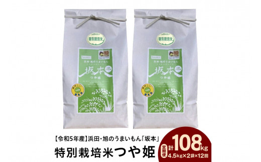 毎月定期便＞津和野産こしひかり一分づき玄米 2kg×全12回【4000006