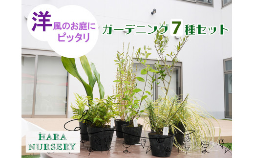 BS149_ガーデニング洋タイプ7種セット 花 苗 植物 家庭菜園 花壇