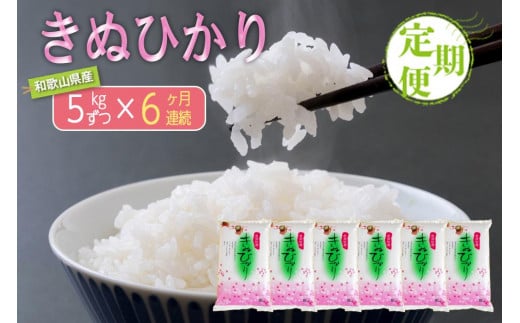 【お米の定期便／全6回】和歌山県産 米 キヌヒカリ30kg (5kg×6) 2024年産【SL21】 1016328 - 和歌山県由良町