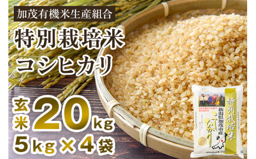 令和5年産米】新潟県加茂市産 特別栽培米コシヒカリ 玄米20kg（5kg×4 ...