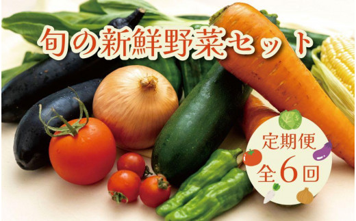 定期便 / 全6回：奇数月お届け】旬の新鮮野菜セットB（たっぷり15品