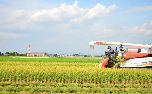 愛知県刈谷市のふるさと納税 No.334 縁結び（お米）計6kg ／ 精米 甘味 食卓 愛知県