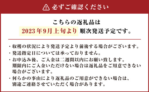 【2023年9月上旬発送開始】茨城県産 さつまいも【紅あずま】10kg (茨城県共通返礼品・水戸市、ひたちなか市、鹿嶋市、行方市、大洗町産)