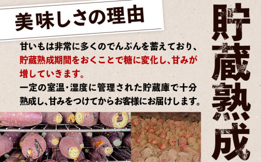 畑の金貨 焼き芋紅はるか 1kg K181-002_01 - 鹿児島県鹿児島市