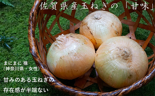 甘みが強い佐賀県産の玉ねぎで佐賀牛に柔らかさと自然の甘味を足し合わせました。