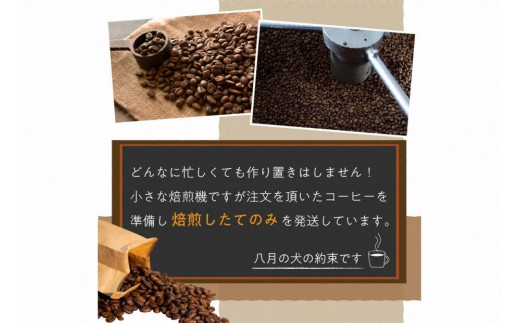 定期便 6回／自家焙煎 コーヒー豆】 自家焙煎コーヒー豆