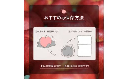 青森県五所川原市のふるさと納税 【2024年11月後半発送】 【訳あり】 りんご 約10kg サンふじ 青森産