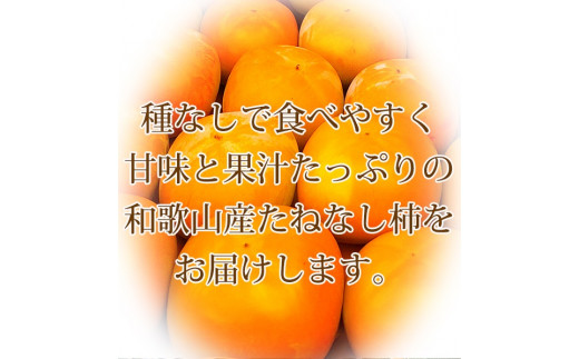 和歌山秋の味覚 平核無柿（ひらたねなしがき） 約4kg 化粧箱入 ※2024年